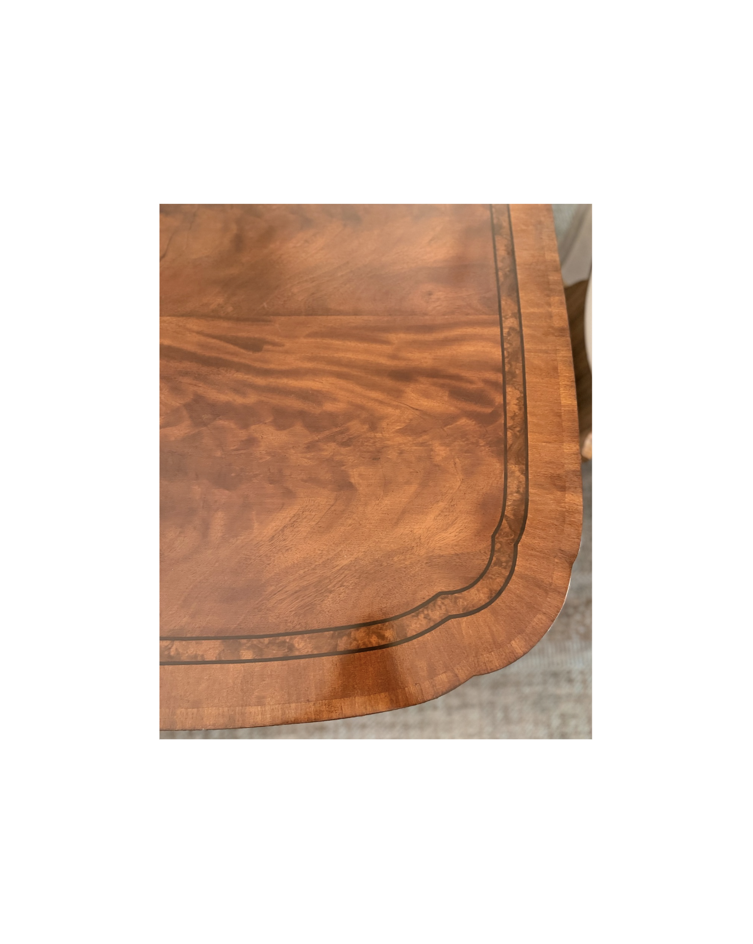 New Arrivals — Nowell & Co.